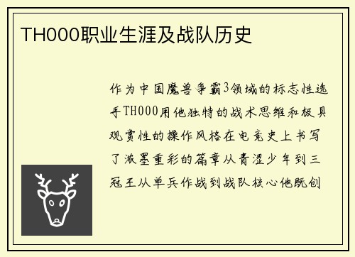 TH000职业生涯及战队历史